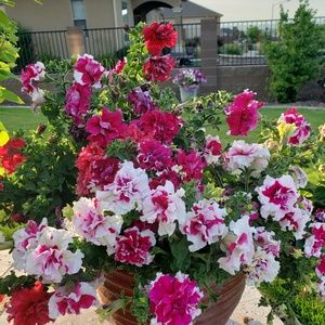 Meet your Posher, My